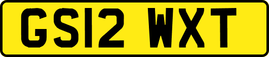 GS12WXT