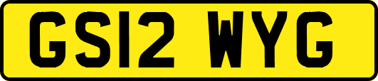 GS12WYG
