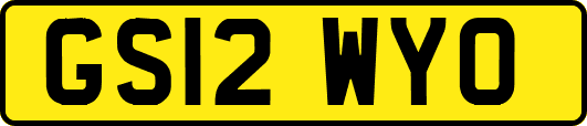 GS12WYO