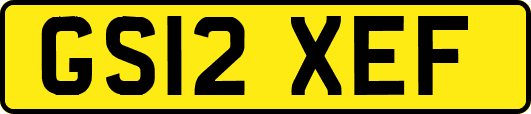 GS12XEF