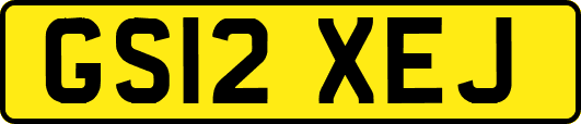 GS12XEJ