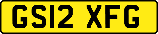 GS12XFG