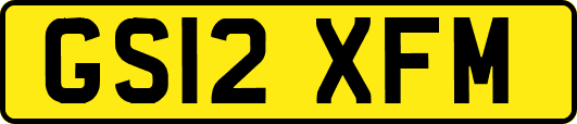 GS12XFM