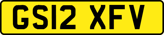 GS12XFV