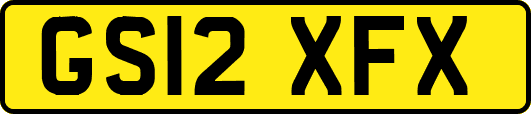 GS12XFX