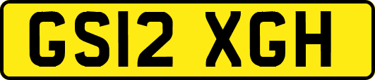 GS12XGH