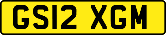 GS12XGM