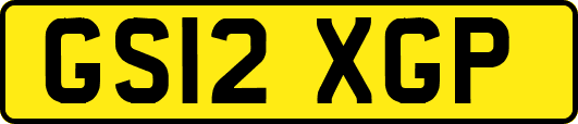 GS12XGP