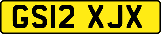 GS12XJX