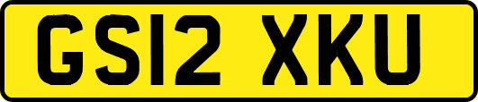 GS12XKU