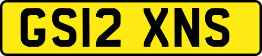 GS12XNS