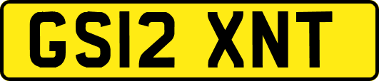 GS12XNT