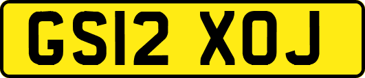 GS12XOJ