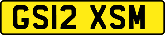 GS12XSM