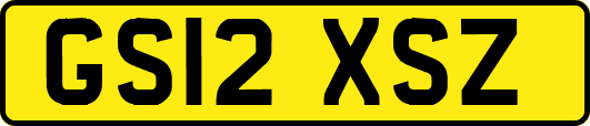 GS12XSZ