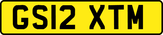 GS12XTM