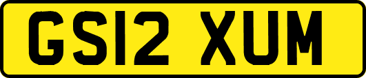 GS12XUM