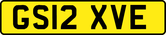 GS12XVE