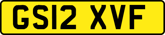GS12XVF