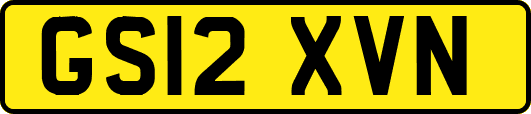 GS12XVN