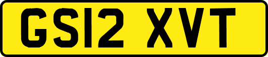 GS12XVT