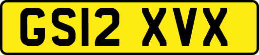 GS12XVX