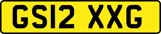 GS12XXG