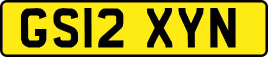 GS12XYN