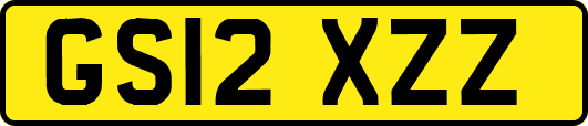 GS12XZZ