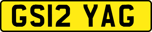 GS12YAG