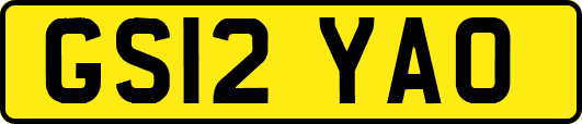 GS12YAO
