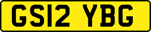 GS12YBG