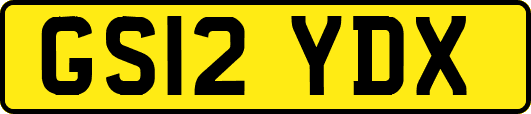 GS12YDX