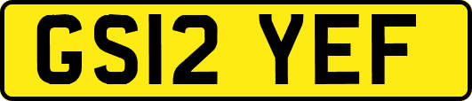 GS12YEF