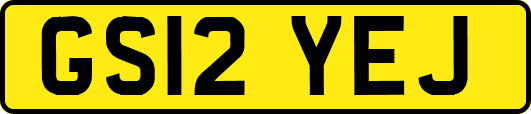 GS12YEJ