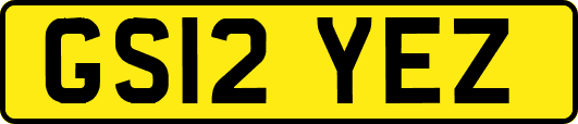 GS12YEZ
