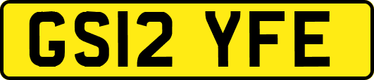GS12YFE