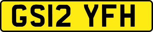 GS12YFH