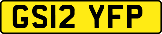GS12YFP