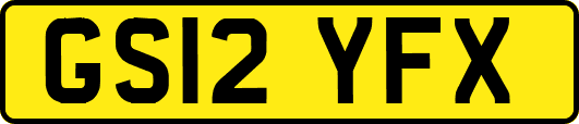 GS12YFX
