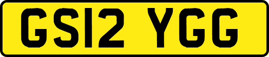 GS12YGG