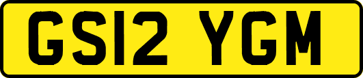GS12YGM