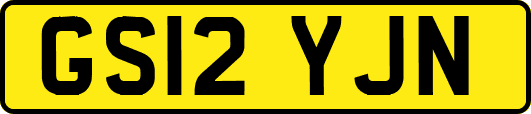 GS12YJN