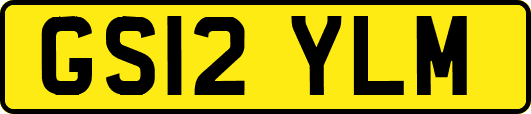 GS12YLM
