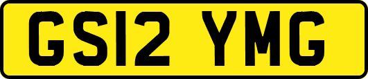 GS12YMG