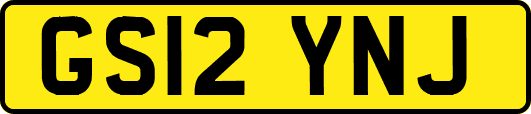 GS12YNJ