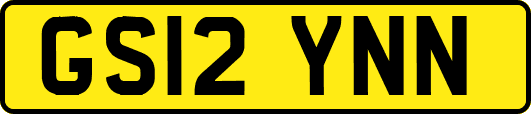 GS12YNN