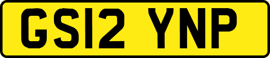 GS12YNP