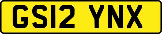 GS12YNX
