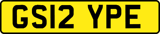 GS12YPE